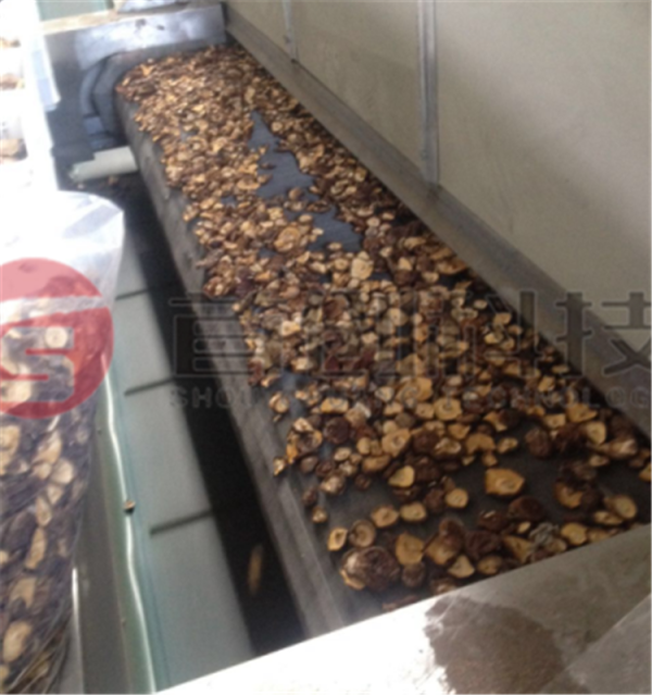 香菇烘干設(shè)備_多功能香菇干燥機(jī)_大型香菇烘干機(jī)