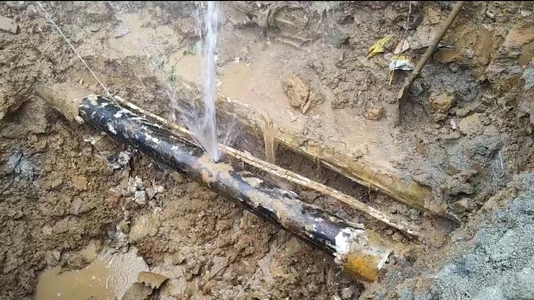 管道漏水了怎么办？如何选择靠谱的检测机构？