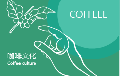 咖啡的文化和進(jìn)化