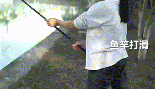 33+ 3应用.gif
