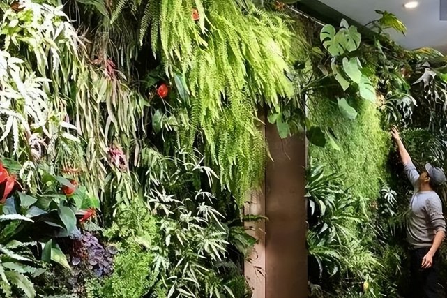 Vertical Garden垂直森林花园，，，，，，，欧美建筑设计潮流新姿势让你拥抱绿色！