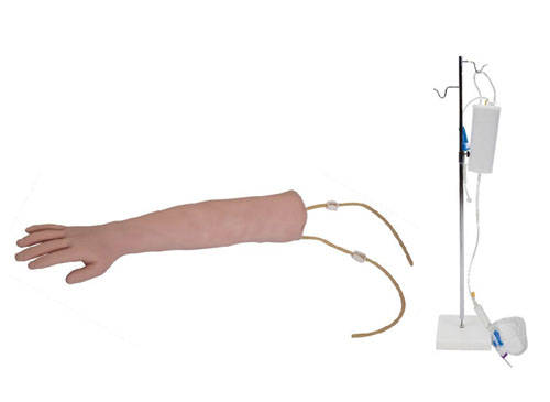 高級手臂靜脈穿刺模型.jpeg 高級手臂靜脈穿刺模型.jpeg