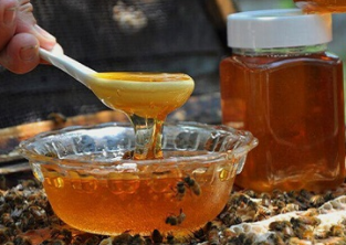 果醬、蜂蜜應用