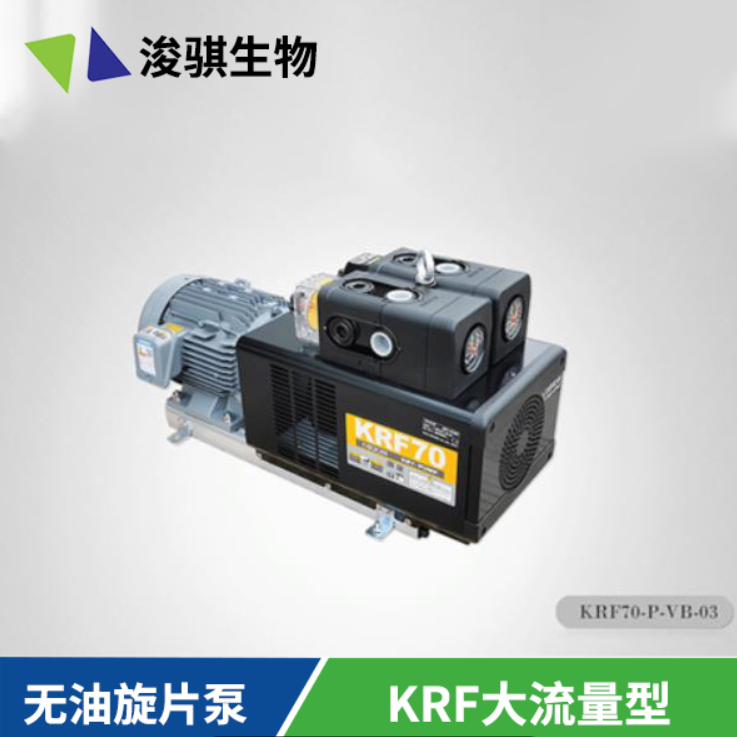 無油旋片真空泵