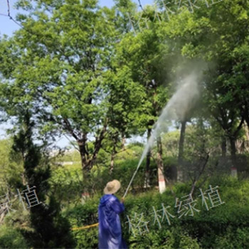 綠植種植營(yíng)養(yǎng)2