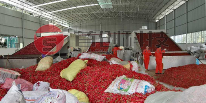 辣椒烘干機(jī)的適應(yīng)期是怎樣的？