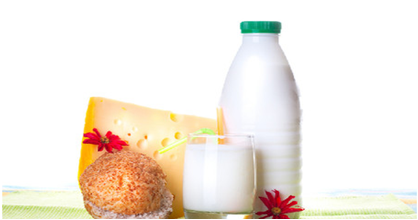 乳酸菌飲料應用