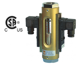 dsv-3.png