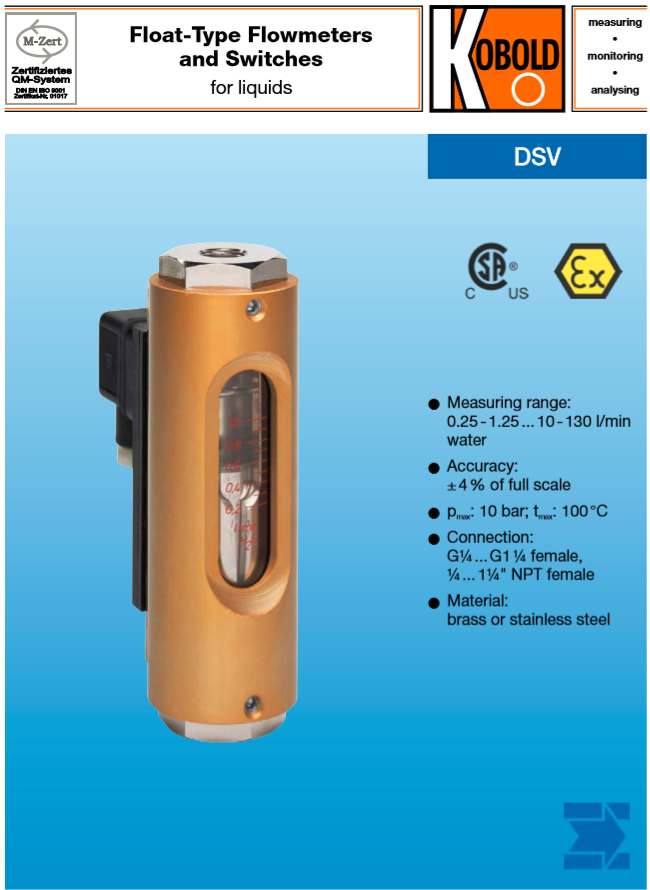 dsv-31.PNG
