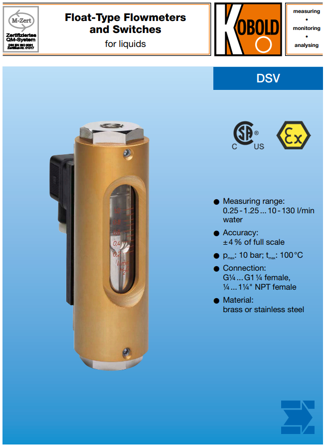 dsv-11.PNG