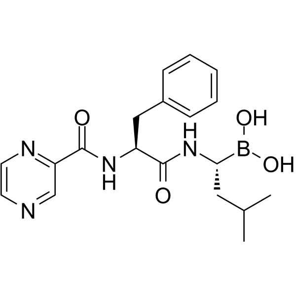 Bortezomib (硼替佐米）