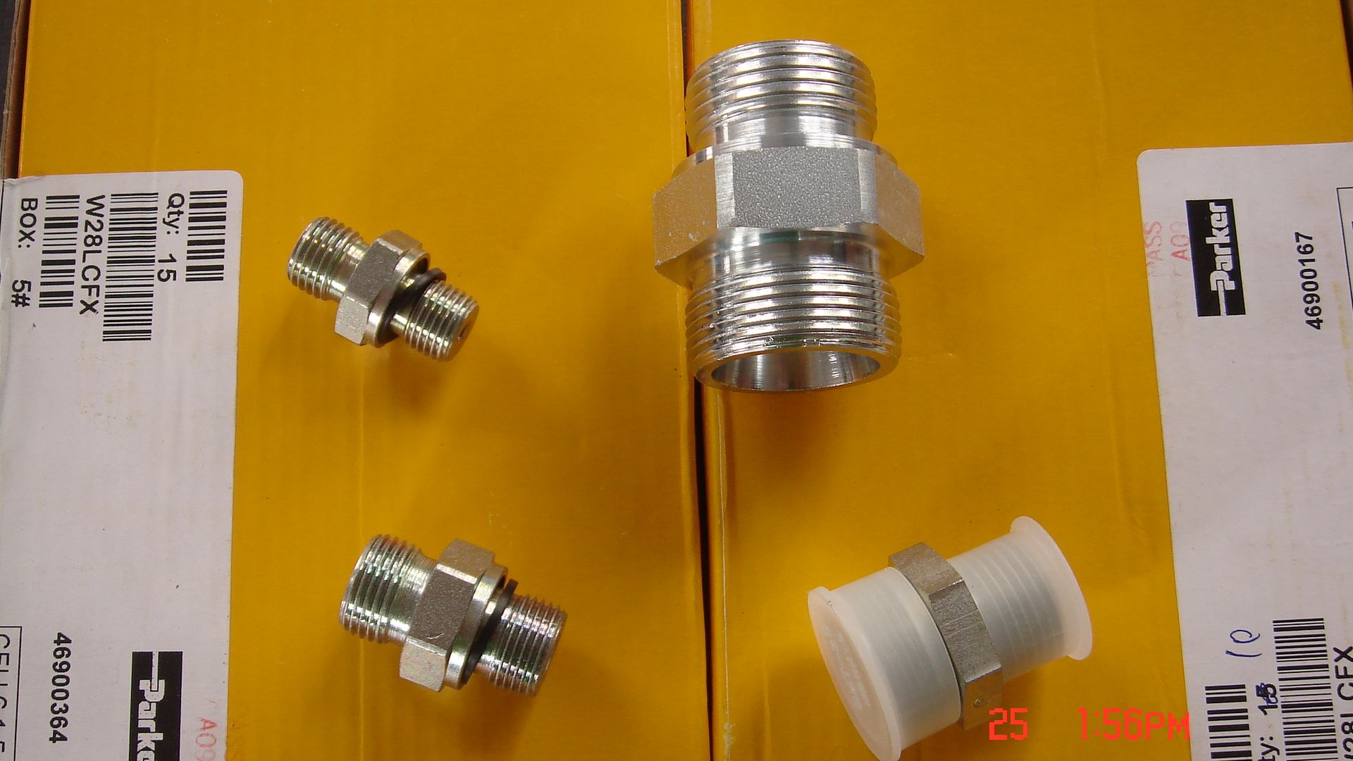 P25.jpg