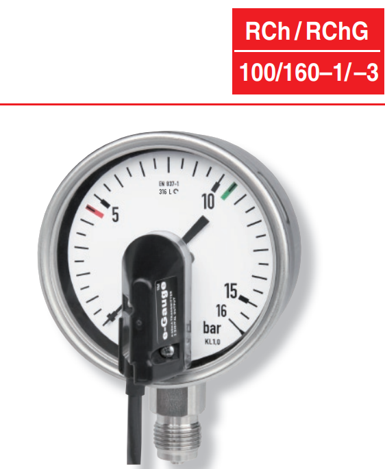 rch100-1.PNG