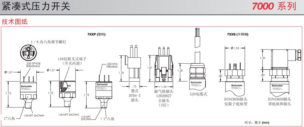 c7003.JPG