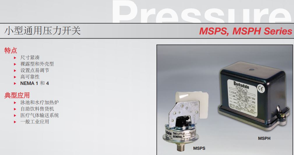 msps1.JPG