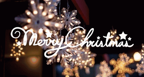 金緯人用祝福與歡笑迎接元旦