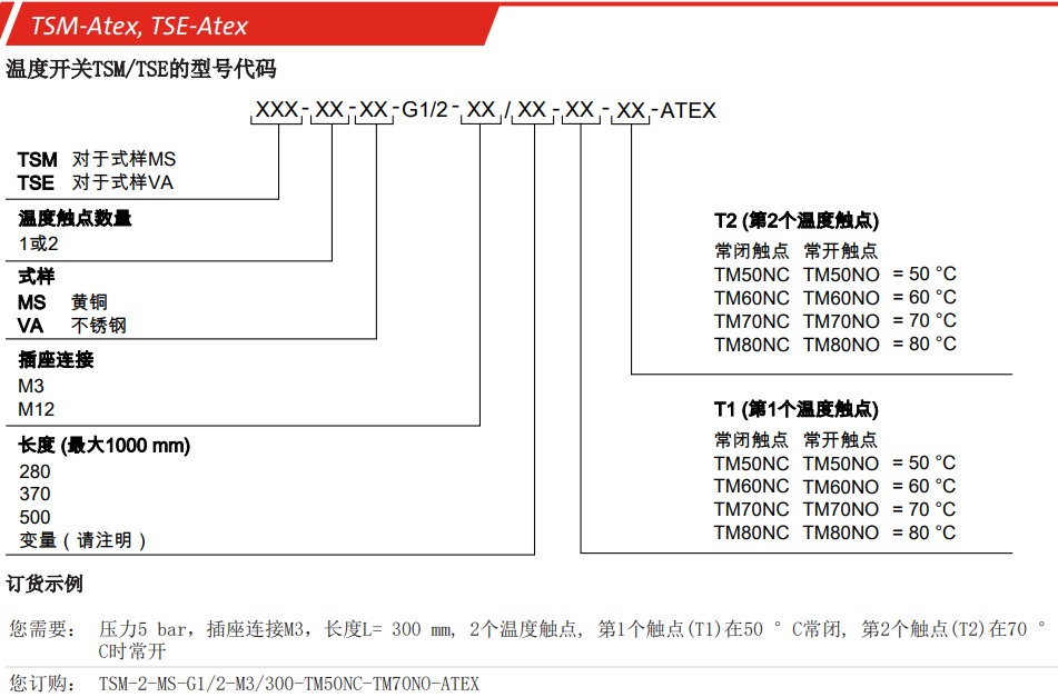 TSE3.PNG