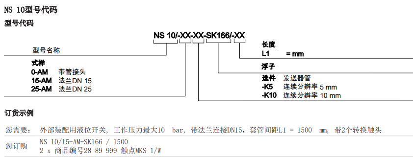 ns10-3.PNG