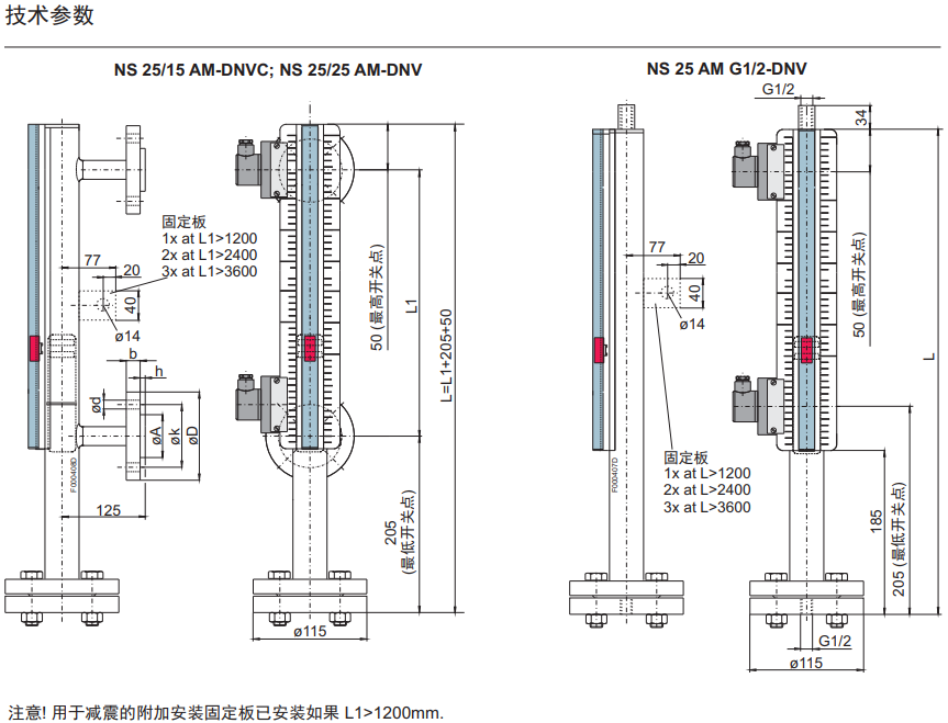 dnv-2.PNG
