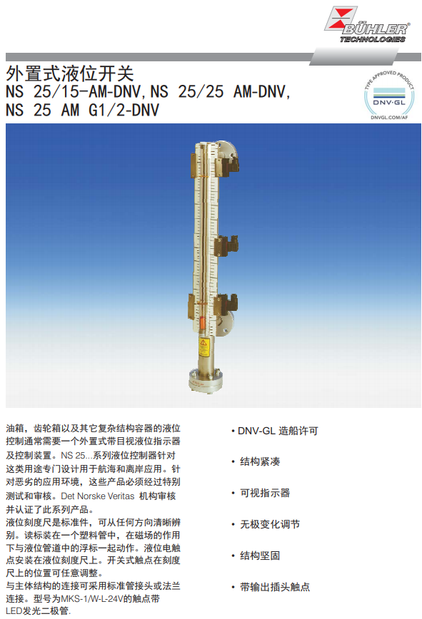dnv-1.PNG