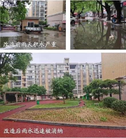 海綿城市改造前后對比