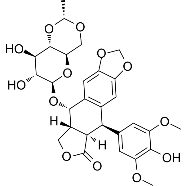 Etoposide (依托泊苷）