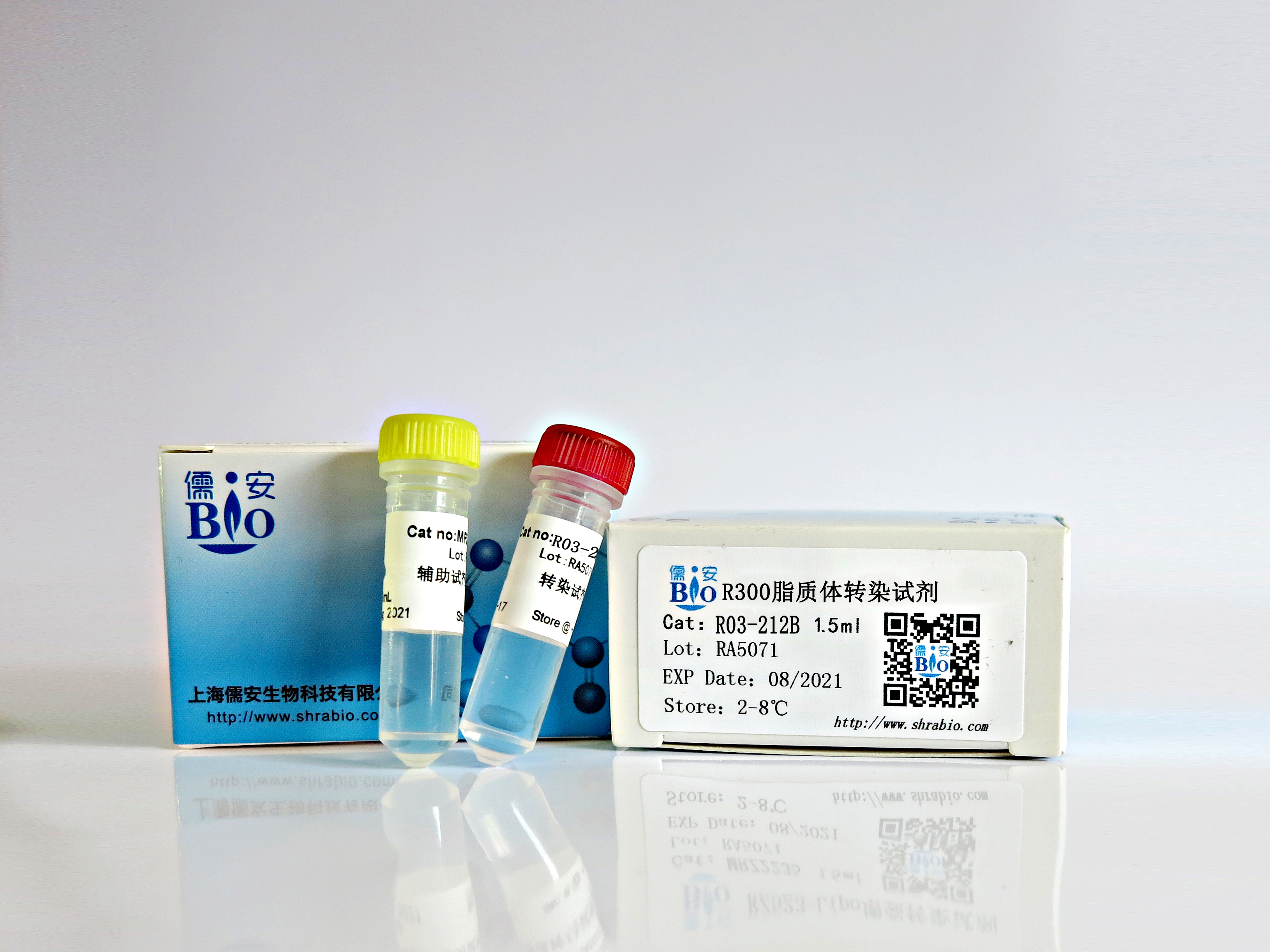 R300脂質體轉染試劑