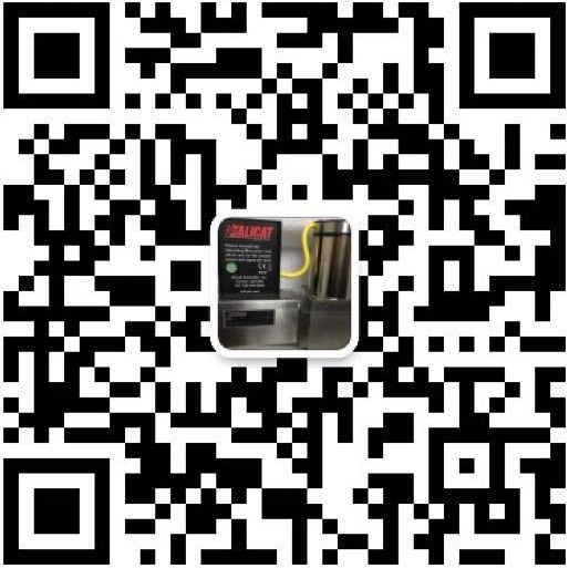 chifee wechat.jpg