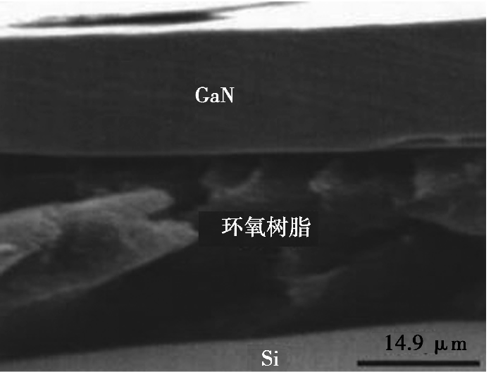 使用環(huán)氧樹脂的GaN/Si鍵合界面截面圖