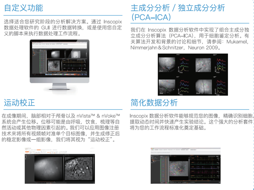 Inscopix数据分析软件(IDPS)-滔博生物