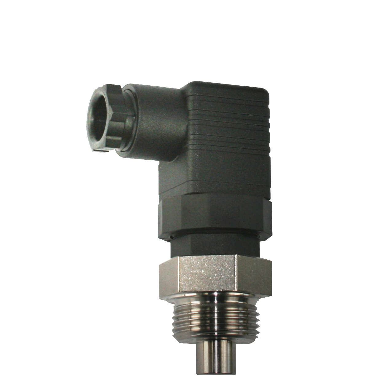 TSP_02.jpg