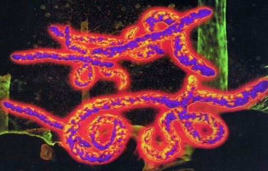 丙烯酸樹脂合成|分子量穩(wěn)控秘籍大公開！?-蘇州青田新材料有限公司
