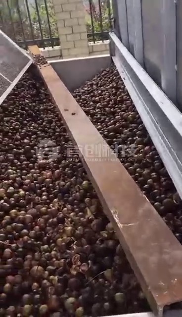 油茶果烘干機