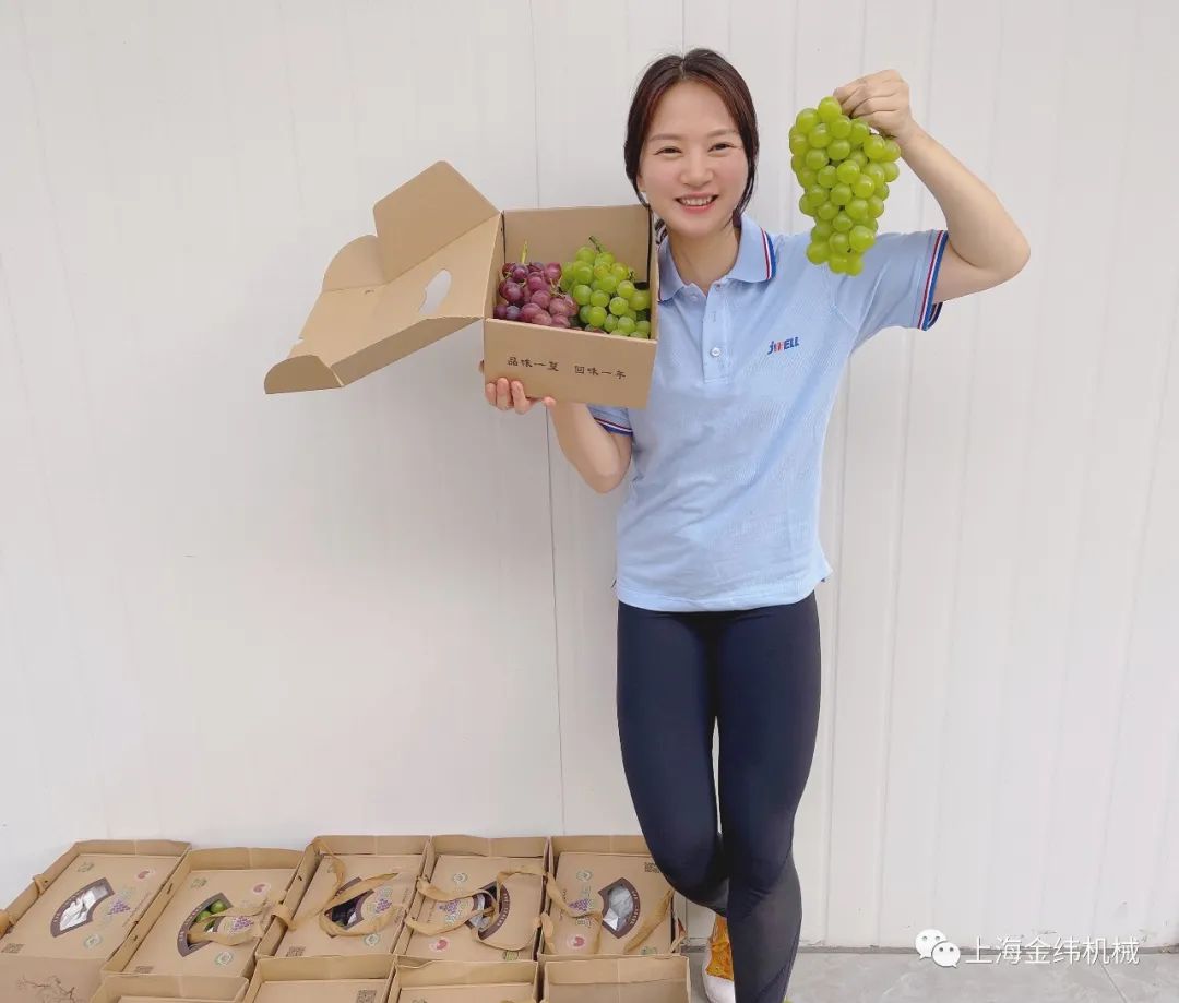 新鮮上市|金緯公司發放馬陸葡萄啦！