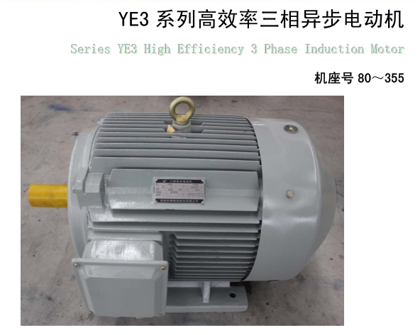 YE2系列高效率三相異步電動(dòng)機(jī)