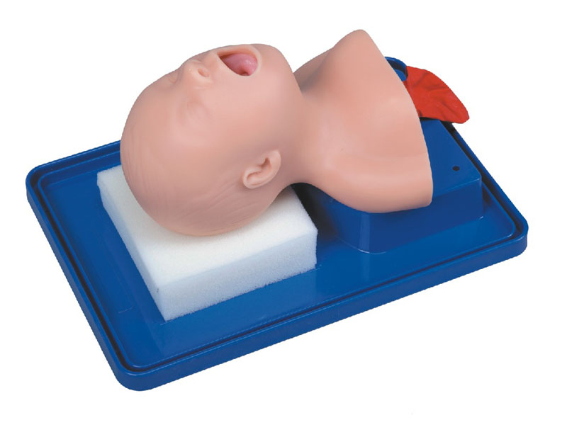 新生兒氣管插管訓練模型.jpg