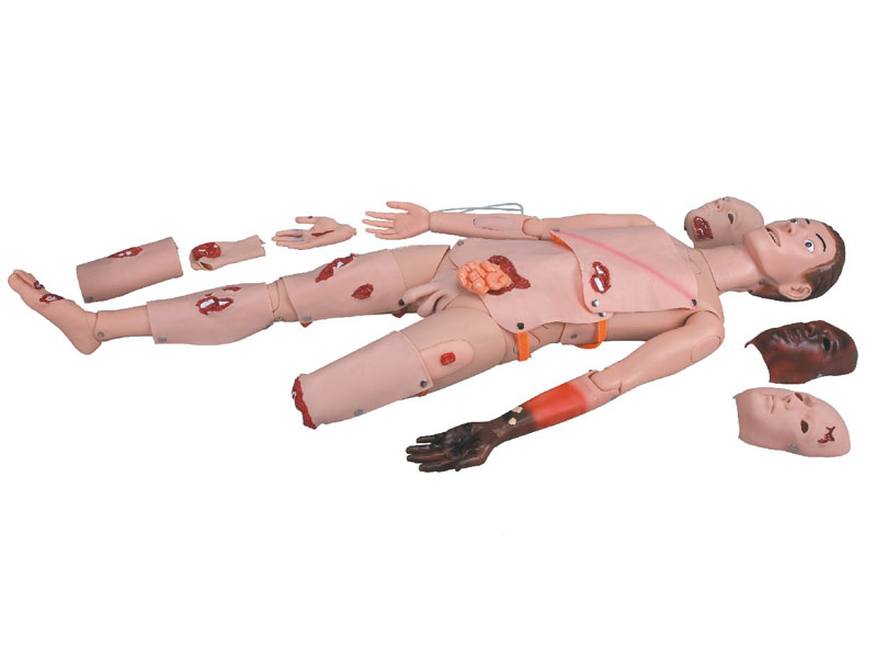 高級創(chuàng  )傷模型.jpg