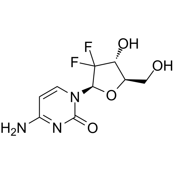 Gemcitabine (吉西他濱)