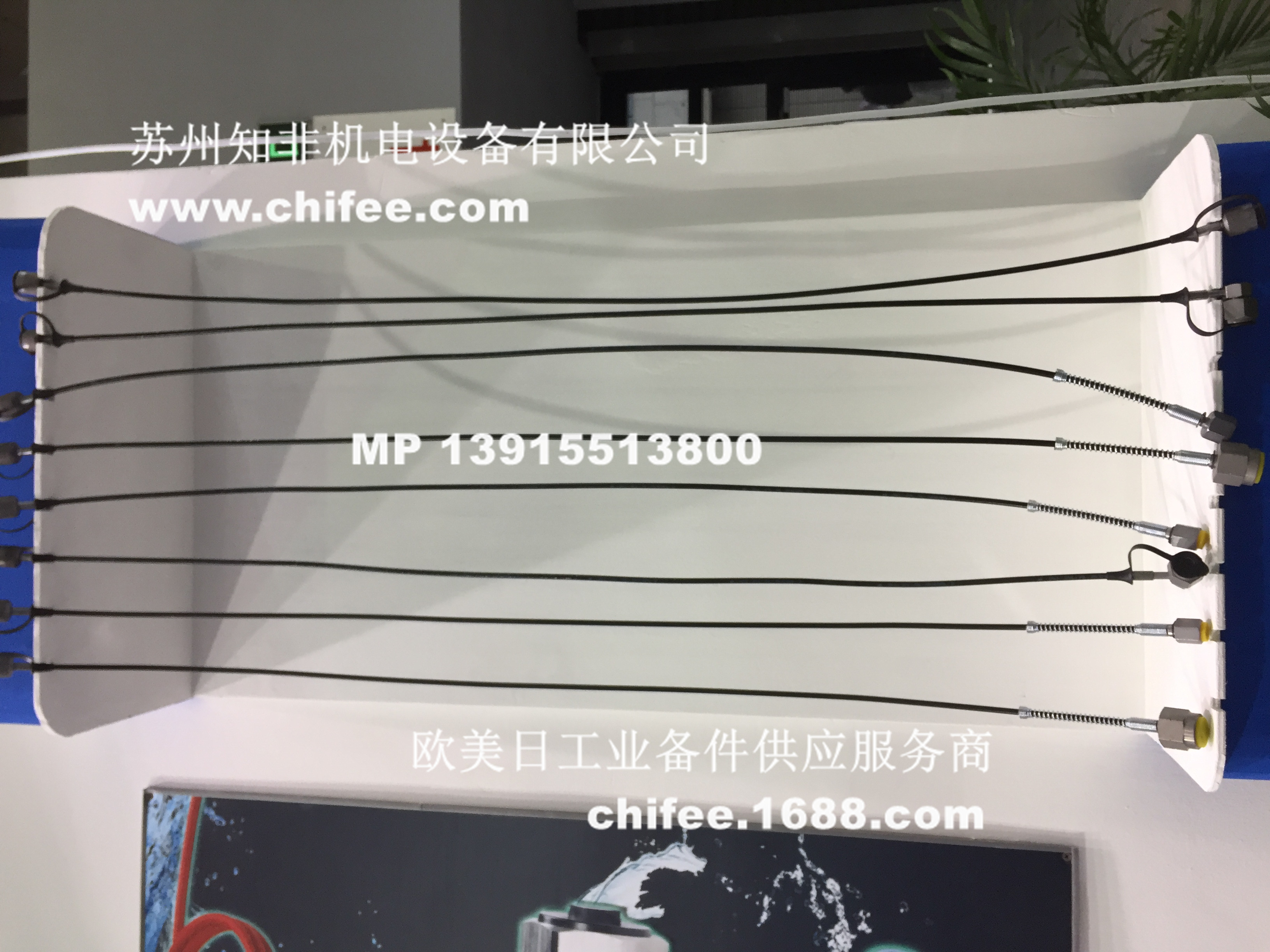 IMG_1378.jpg IMG_1378.jpg