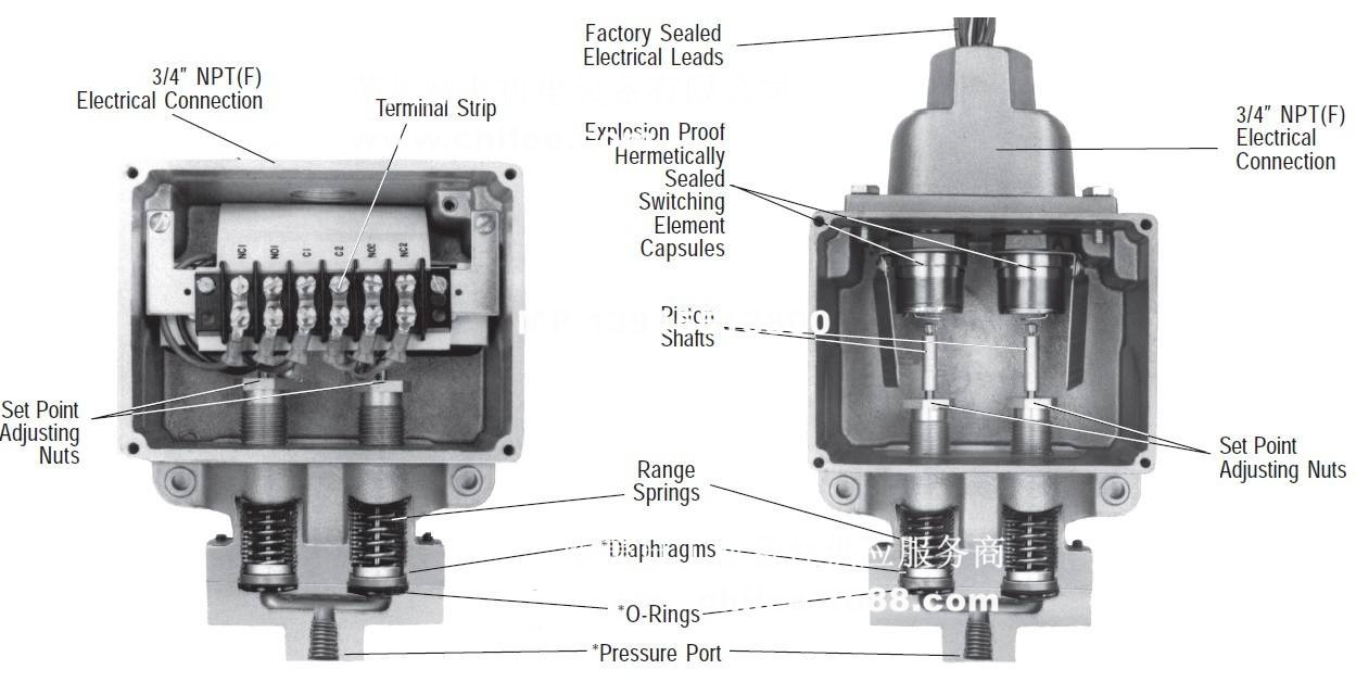 ls33.jpg