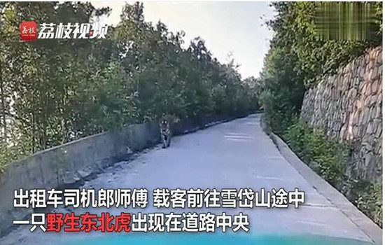 由真實版“攔路虎”上演聯(lián)想到涂料流平劑