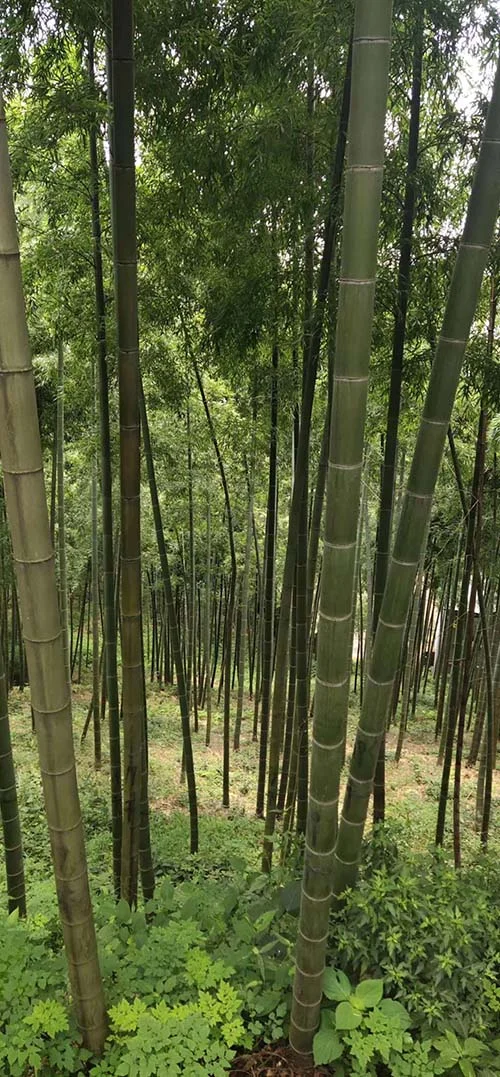 團建4.jpg