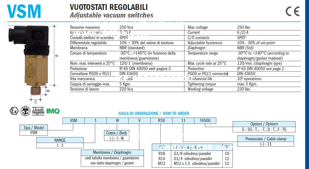 VSM-2.jpg