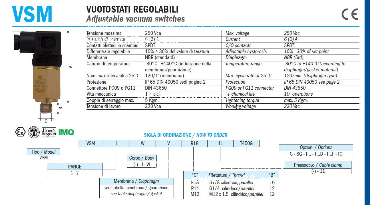 VSM3.jpg