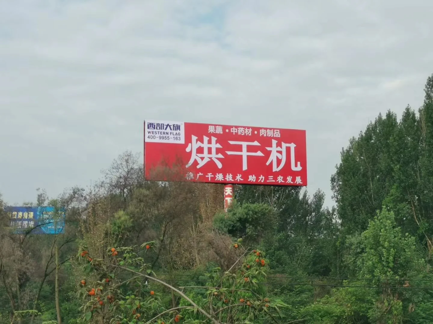 西部大旗烘干機廠家