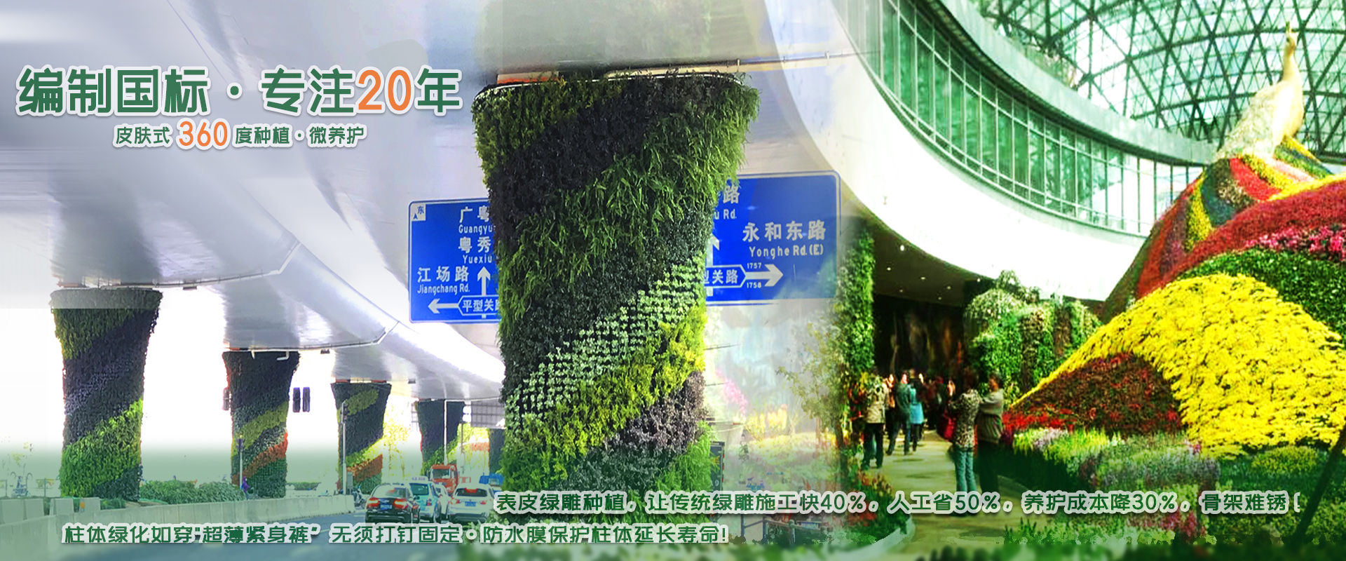 AG一飞冲天300倍游戏(中国游)·官方网站