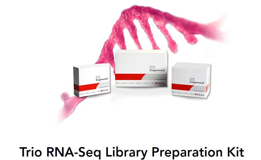 Trio RNA-Seq 0506-32