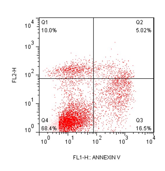 细胞凋亡实验（流式法）-研载生物科技（上海）有限公司