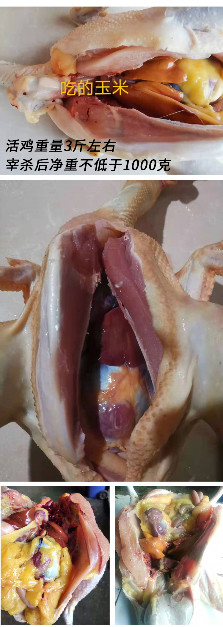 微信圖片_20201229144020.jpg 微信圖片_20201229144020.jpg