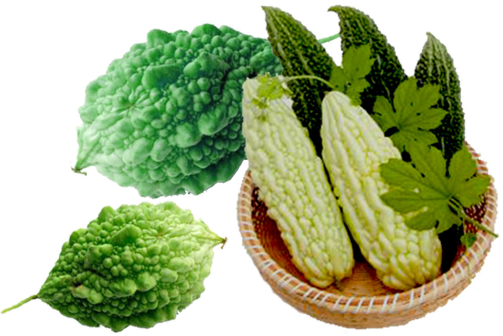富硒麥芽苦瓜肽
